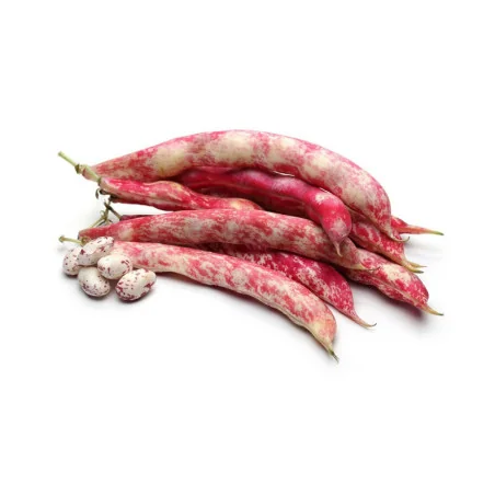 Seminte de fasole fahne Stromboli, Kertimag 50g