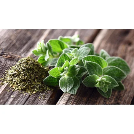 Seminte de oregano sovarf, Sem-Luca 0.25g