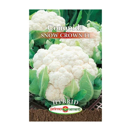 Seminte de conopida Snow Crown F1, Prima Sementi 0,4g