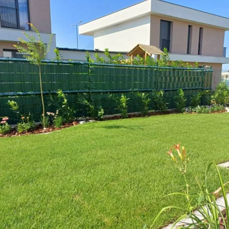 Prunus laurocerasus Novita - Laur englezesc mare 200cm