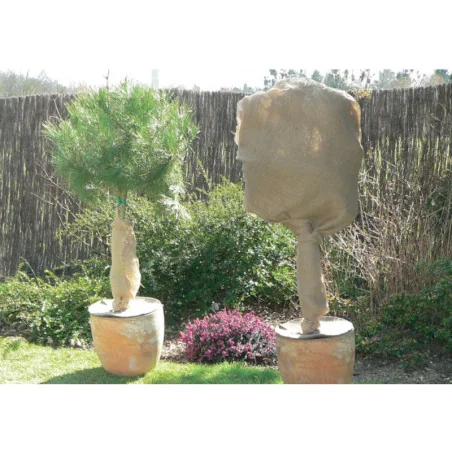 Iuta NATUREROLL pentru protectie plante ANTIINGHET 1X10M