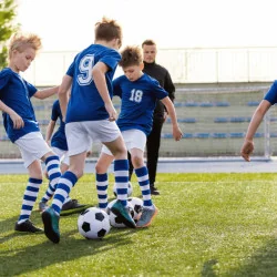 Amestec de semințe de gazon Stadion sport Agro-Largo 10 kg