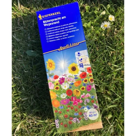 Alee înflorită KIEPENKERL