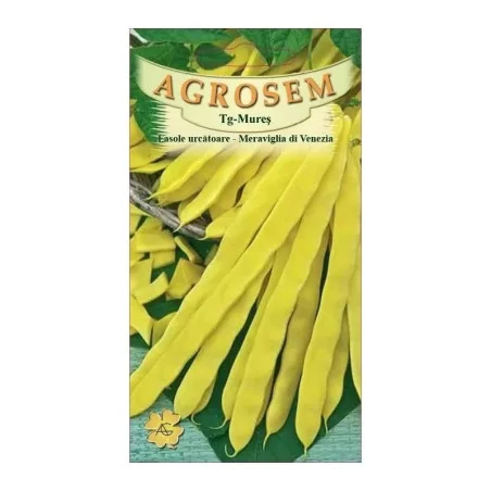 Seminte de Fasole urcatoare Meraviglia di Venezia 10g