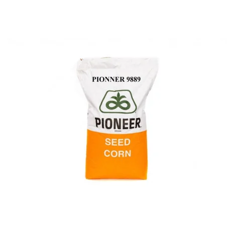 P9889 Aquamax – semințe porumb Pioneer – 25.000 boabe