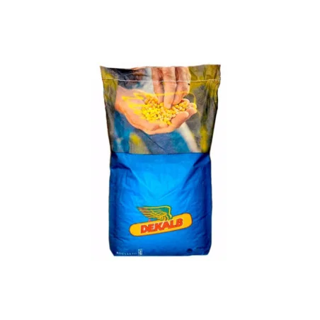 Seminte Porumb DEKALB DKC 4933, hibrid semi-timpuriu