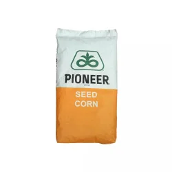 Semințe de Porumb Pioneer P0710 inlocuitor P0412 FAO 450 - Premium Aquamax, Hibrid Performant - Stoc Nou! - tratat cu Lumiposa