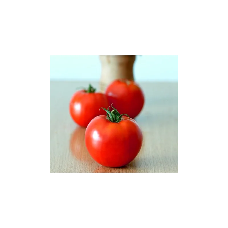 Semințe tomate Ghittia - 3.000 sem