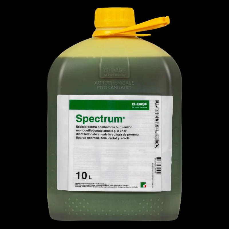 Spectrum 10 L