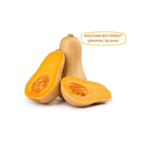 Seminte dovleac de copt Waltham Butternut Holland Farming - 10 gr