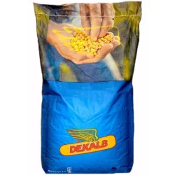 Seminte Porumb DEKALB DKC 3972, FAO 250-290, inlocuitor DKC3939– Sac 80.000 boabe