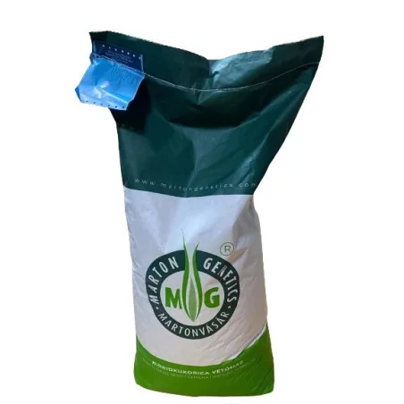 Mv Koppany- semințe porumb Marton Genetics- 70.000 boabe - Plantmaster - Maestrul Culturii Tale