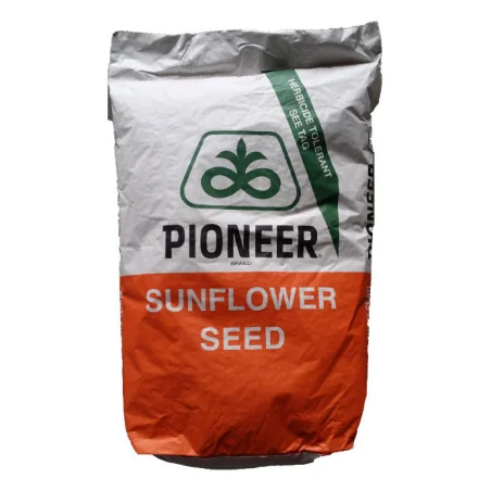 Semințe Floarea-Soarelui Pioneer P64LE163 – Productivitate și Rezistență Superioară
