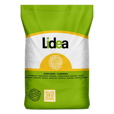 Semințe Floarea-Soarelui LID 5053L SU – Hibrid Semi-Tardiv, Productivitate și Rezistență Maximă
