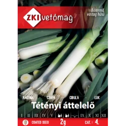 Seminte de ceapa Tetenyi attelelo