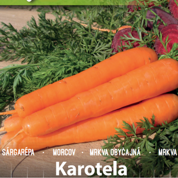 Seminte de morcovi Karotela