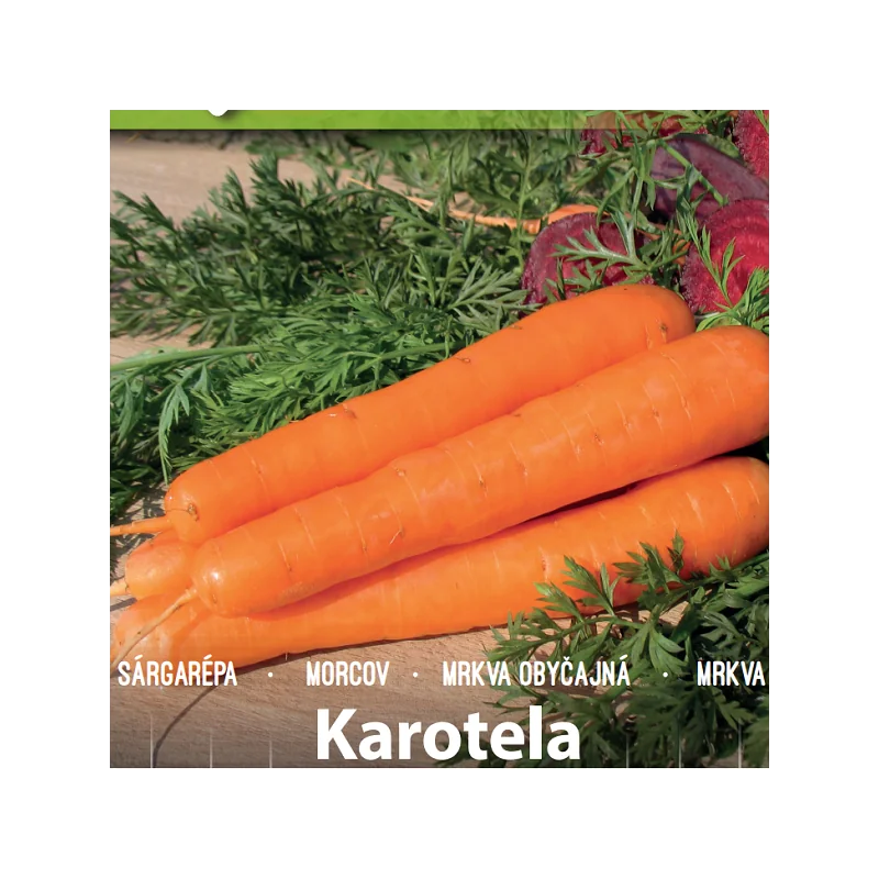 Seminte de morcovi Karotela