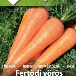 Seminte de morcovi Fertődi Vörös