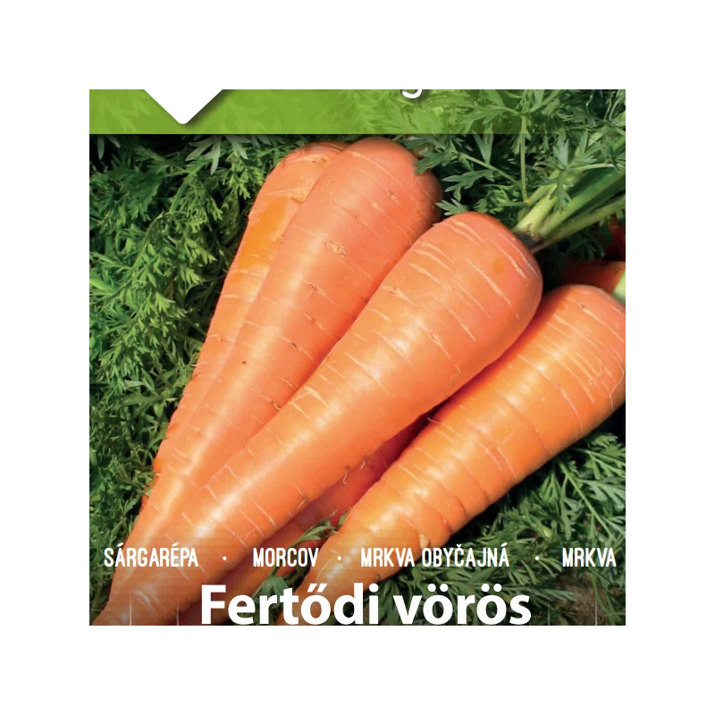 Seminte de morcovi Fertődi Vörös