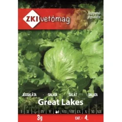 Seminte de salata Great Lakes