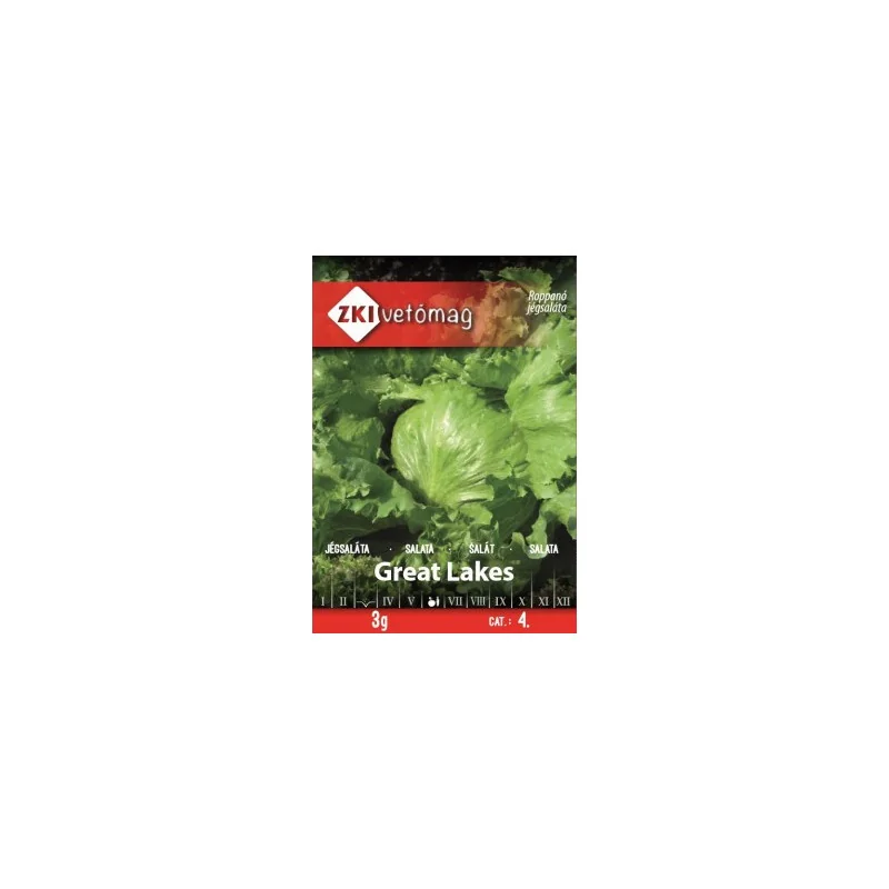 Seminte de salata Great Lakes