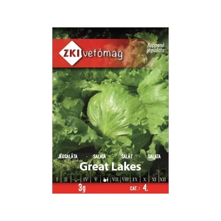 Seminte de salata Great Lakes