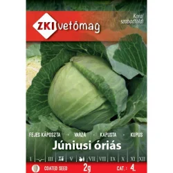 Seminte de varza Júniusi óriás
