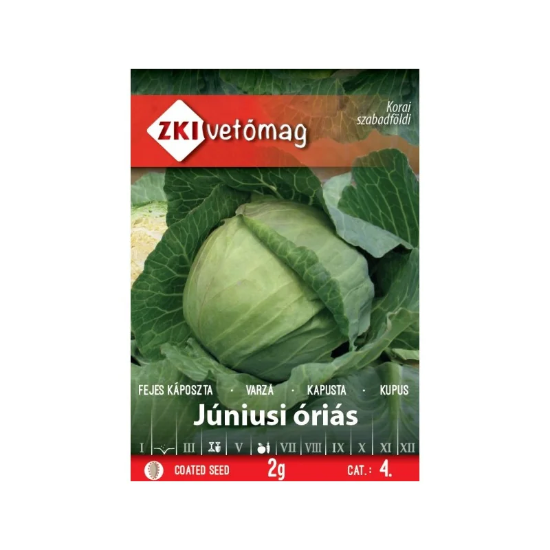 Seminte de varza Júniusi óriás