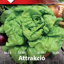 Seminte de salata Attrakció