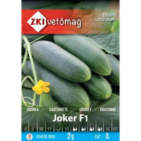 Seminte de castraveti Joker F1