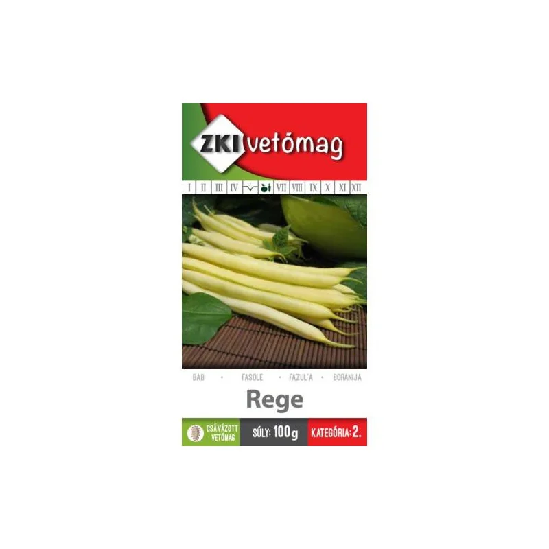 Seminte de fasole Rege