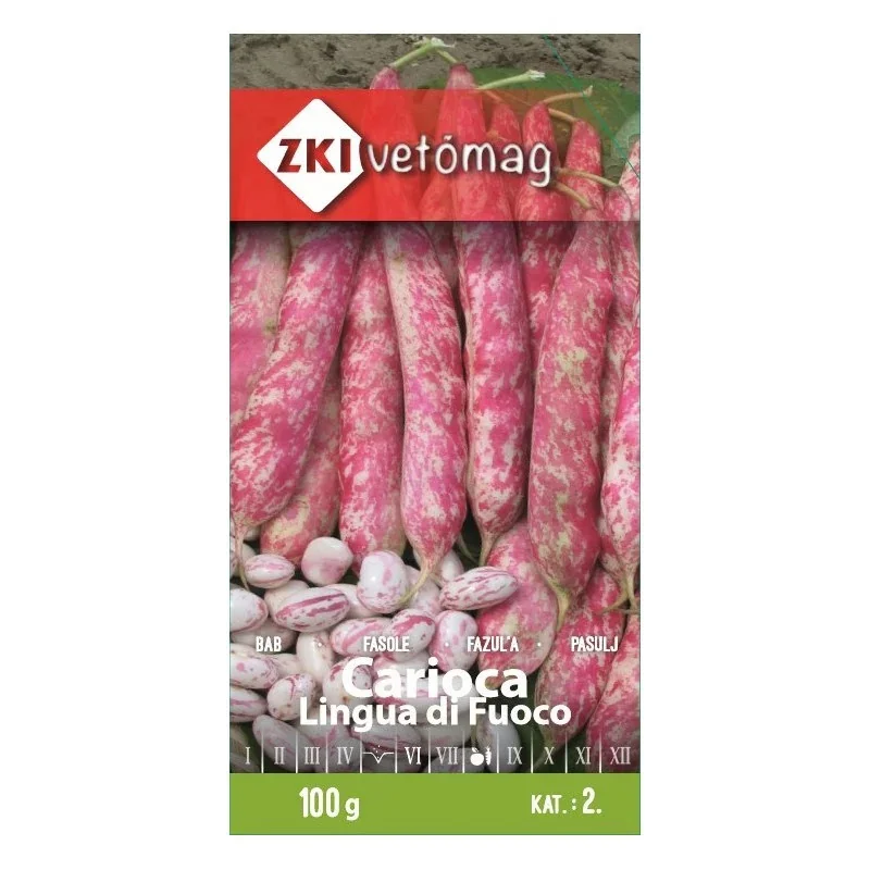 Cutie seminte ZKI Fasole uscata Carioca „Lingua di Fuoco” 75 gr