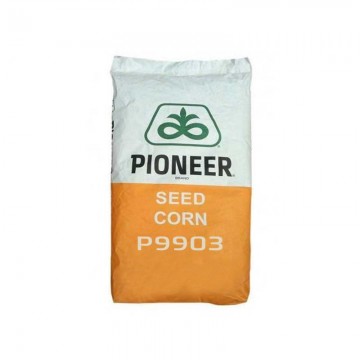 Seminte porumb Pioneer P9903 – 80.000 boabe