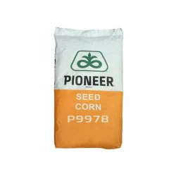 Seminte porumb Pioneer P9978 – 80.000 boabe