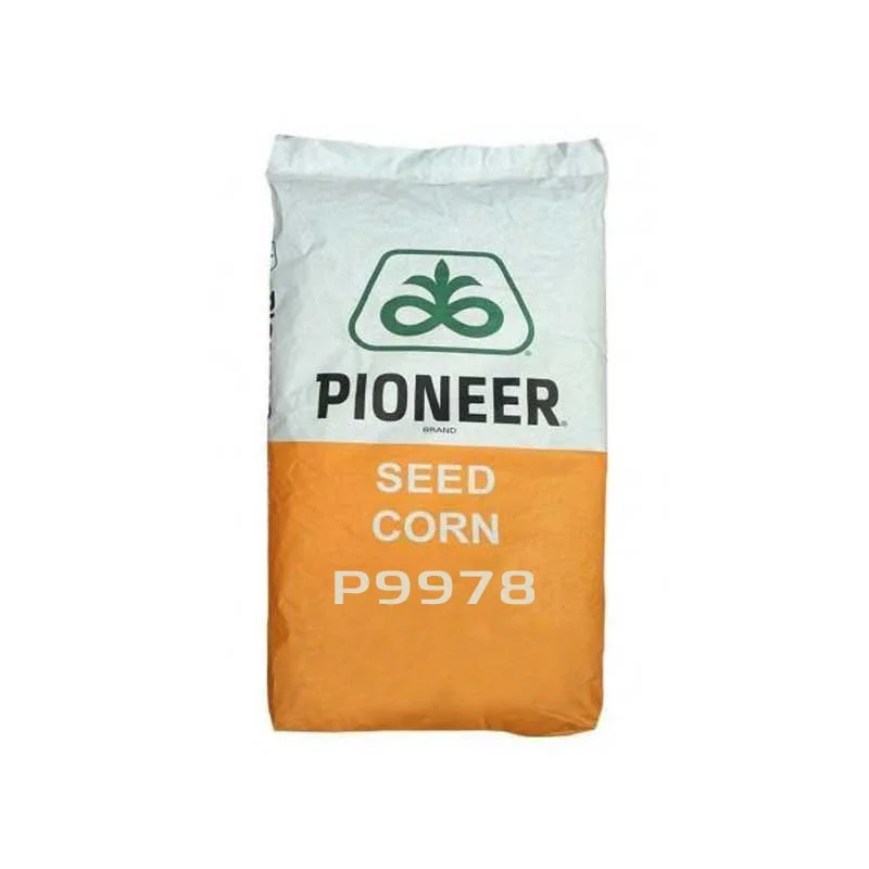Seminte porumb Pioneer P9978 – 80.000 boabe