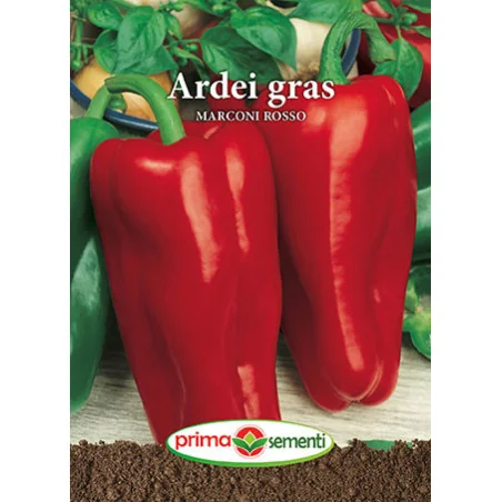 Seminte de ardei gras Marconi Rosso