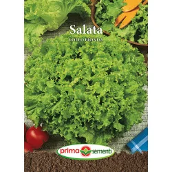 Seminte de salata Lollo Bionda