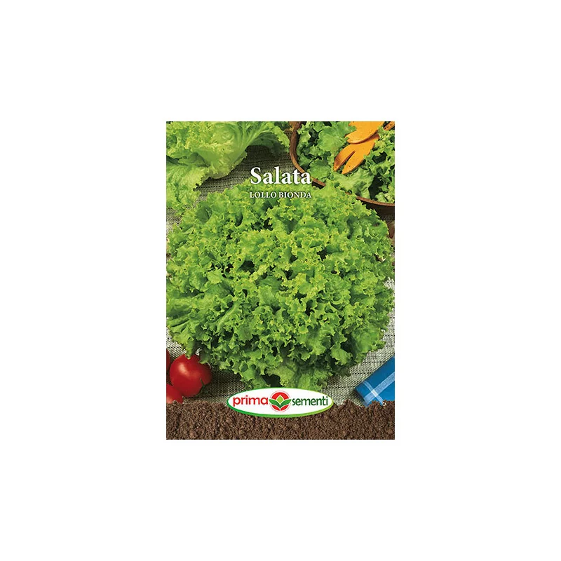 Seminte de salata Lollo Bionda