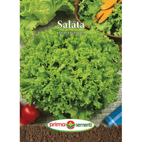 Seminte de salata Lollo Bionda
