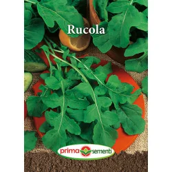 Seminte de Rucola
