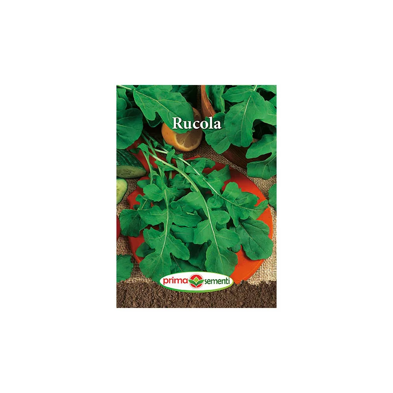 Seminte de Rucola
