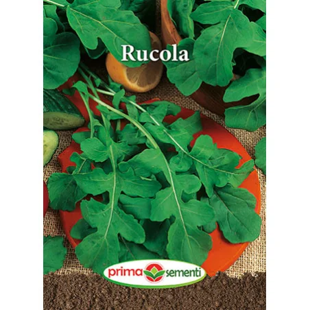 Seminte de Rucola