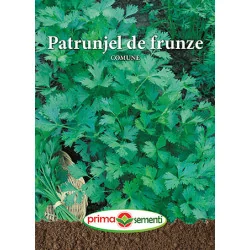 Seminte patrunjel de frunze Comune