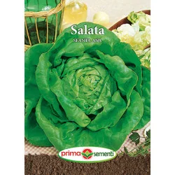 Seminte de salata Sfanta Ana