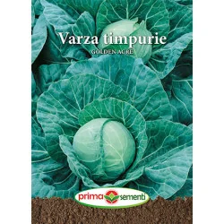 Seminte de varza timpurie Golden Acre