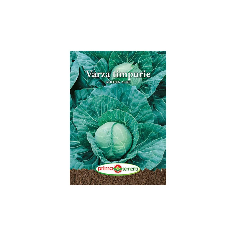 Seminte de varza timpurie Golden Acre