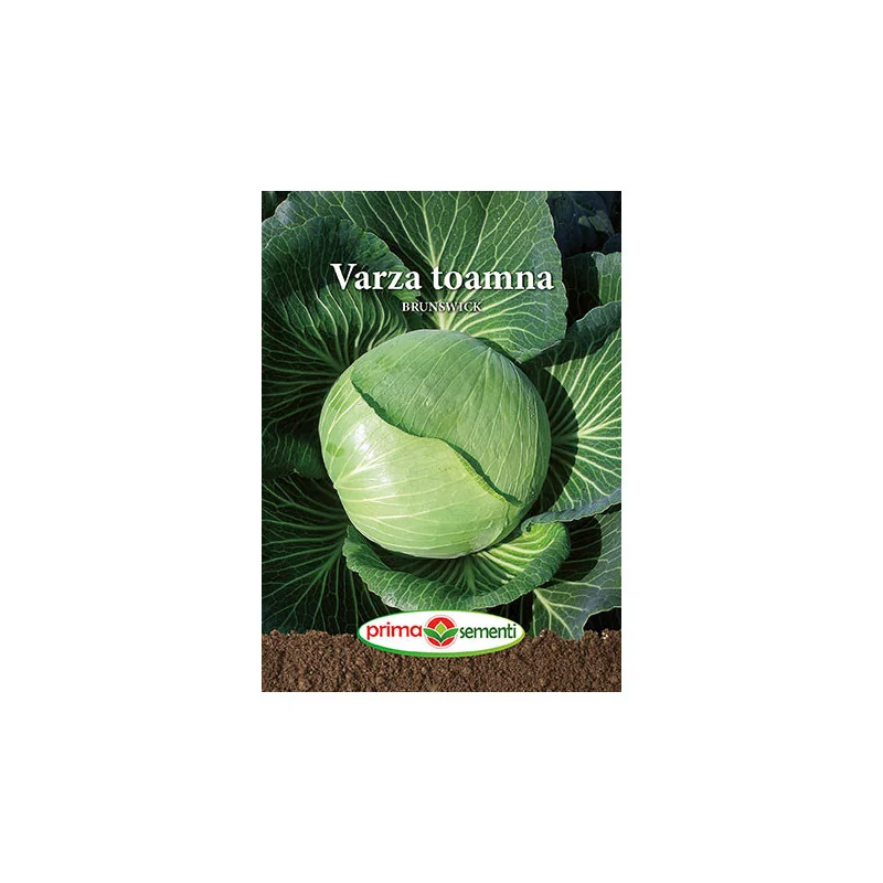 Seminte de varza toamna Brunswick