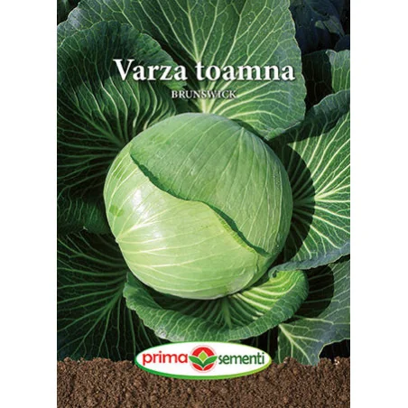 Seminte de varza toamna Brunswick