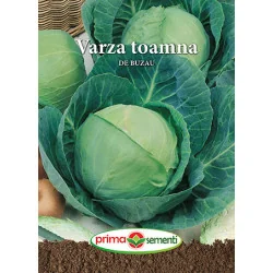 Seminte de varza toamna de Buzau
