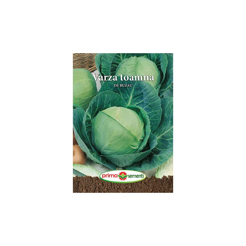 Seminte de varza toamna de Buzau